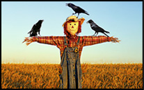 Scarecrow - Pneumatics - Lesson Plans - LEGO Education